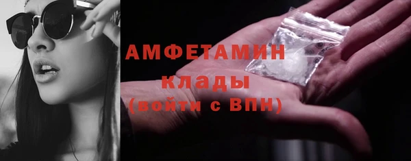 PSILOCYBIN Богданович