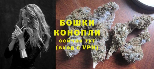 PSILOCYBIN Богданович