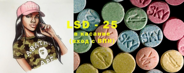 PSILOCYBIN Богданович
