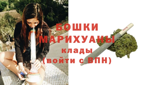 PSILOCYBIN Богданович