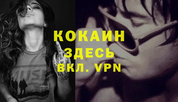 PSILOCYBIN Богданович