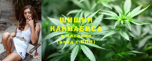 PSILOCYBIN Богданович